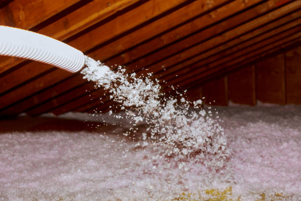 Best Fiberglass Insulation in St Augustine Shores, FL