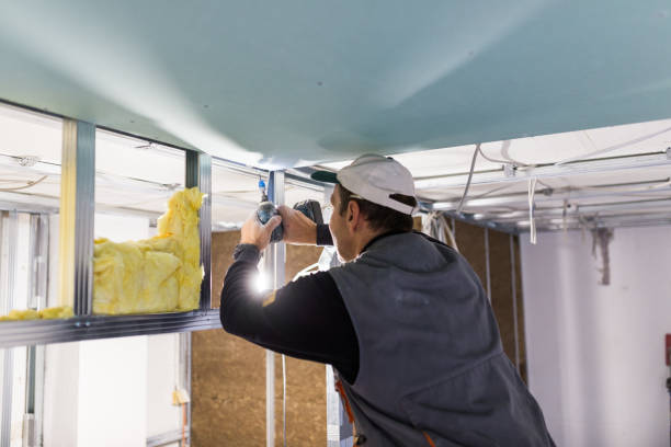 Best Cellulose Insulation in St Augustine Shores, FL