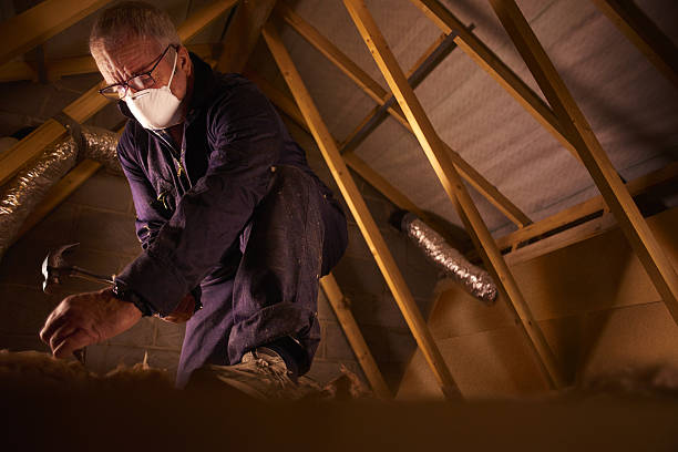  St Augustine Shores, FL Insulation Contractor Pros